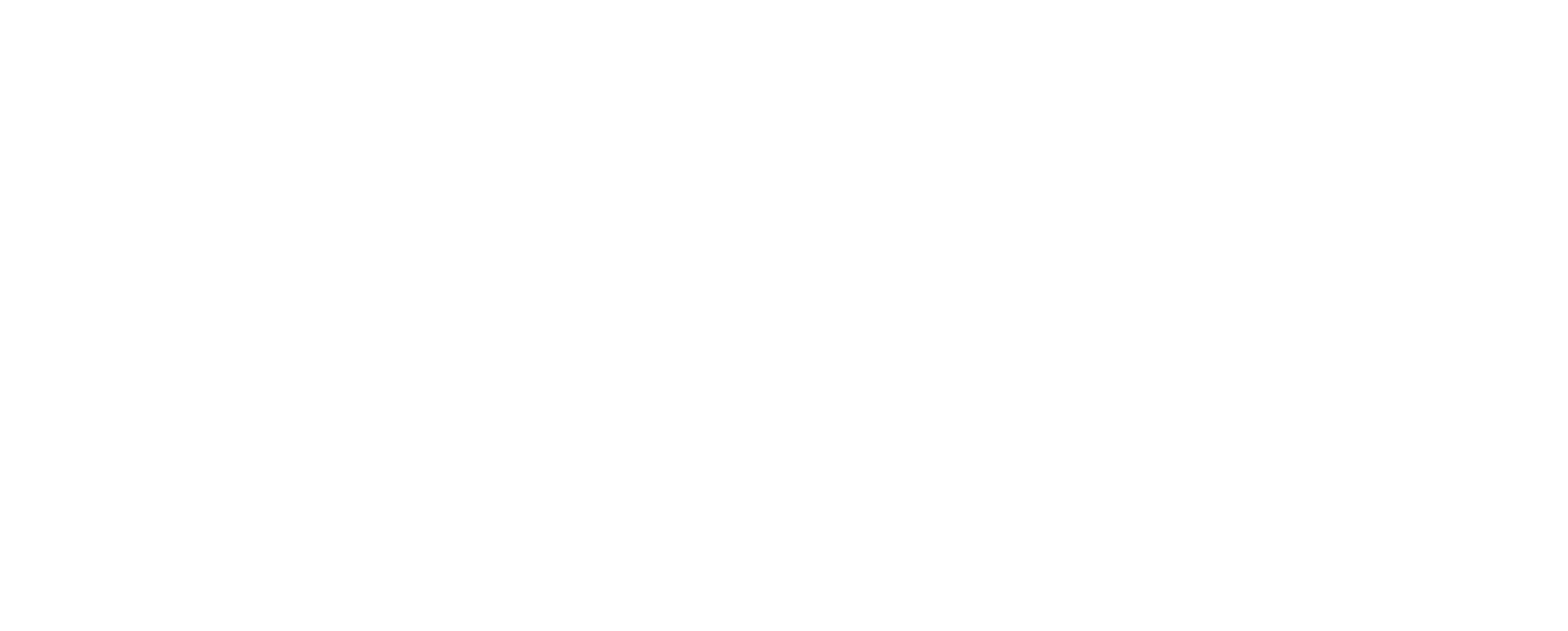 SAFE COMPUTER